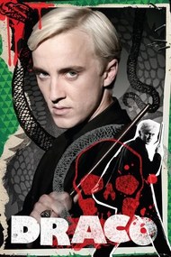 Plakát Harry Potter - Draco, (61 x 91.5 cm)