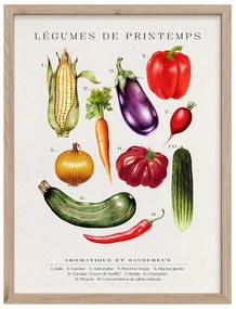 Kép 30x40 cm Legumes – Styler