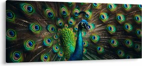 Kép – Pávatoll (120x50 cm)