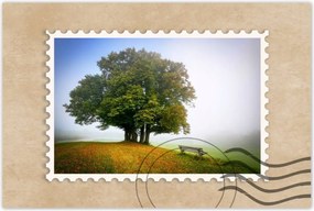 Poszterek 60x40 Tájkép paddal Fa