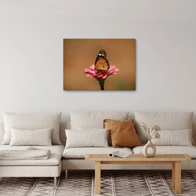 Pillangó képe a virágon (70x50 cm)