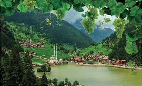 Fotótapéta vinil Hegyek tó mecset szőlőültetvények Nyugalom Panoráma 312x219 +ragasztó