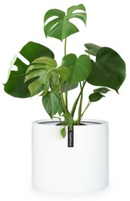 Fox & Fern Gendt, virágcserép, fiberstone, beltér/ kültér