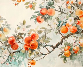 Poszter 50x40cm Persimonok