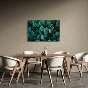 Kép - Opuntia (90x60 cm)