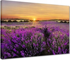 Vászonkép 40x30 Levendula naplemente
