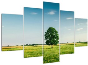 Egy fa képe egy rét közepén (150x105 cm)