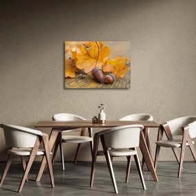 Kép - Őszi makk (70x50 cm)