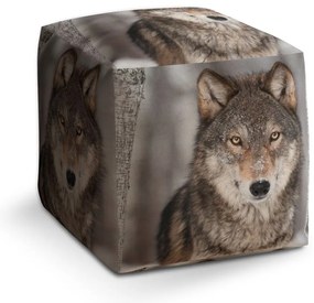 Cube zsámoly farkas 2, szürke