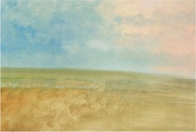 Dekoratív fotótapéta falra Könnyű összeszerelés Pasztell mezők 104x70 Ragasztó