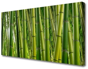 Vászonfotó Bambuszrügy Bamboo Forest 100x50 cm