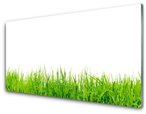 Üvegkép Grass Nature Plant 120x60cm 2 fogas