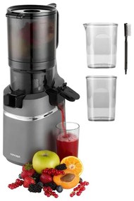 Concept LO7120 - Lassú facsaró JUICY 250W/230V szürke