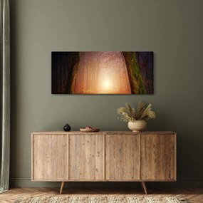 Őszi erdő képe a ködben (120x50 cm)