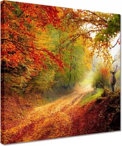 Vászonkép 30x30 Szarvas az erdőben