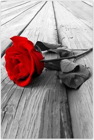 Poszterek 60x90 Vörös rózsa a fán
