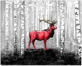 Poszterek 50x40 Szarvas Nyírfa Erdő