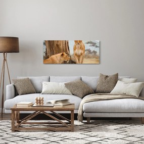 Kép - két oroszlán (120x50 cm)