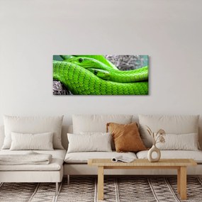 Zöld kígyók képe (120x50 cm)