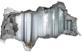 3d-s lyukat fali matrica Köd az erdőben nd-b-74026356