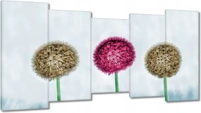 Képek 150x80 Pitypangok