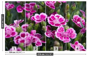 Fotótapéta rózsaszín virágok 104x70 cm