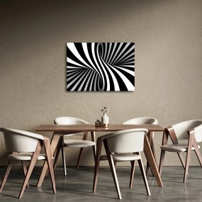 Absztrakt kép zebra csíkokkal (70x50 cm)