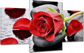 Vászonkép 100x60 Vörös rózsa Neki