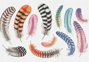 Divatos Flizelin Tapéta Ragasztóval Fali 3D Pasztell tollak 312x219 Ragasztó