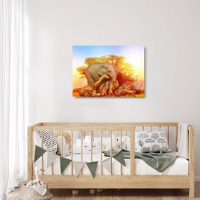 Afrikai állatok képe (üvegen) (70x50 cm)