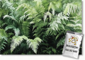 Fotótapéta Flizelina Természet Erdő Növényzet Páfrány Levelek 254x184 ragasztó