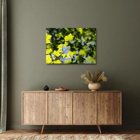 Kép - juhar levelek (70x50 cm)