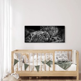Kép - Pihenő gepárdok (120x50 cm)