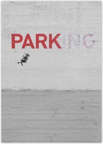 Poszterek 50x70 Banksy Parkoló
