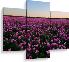 Kép - lila tulipánok rétje (90x60 cm)