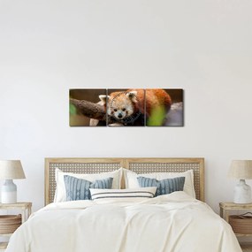 Vörös panda képe (órával) (90x30 cm)