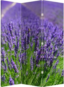 Paraván - Levandula (126x170 cm)