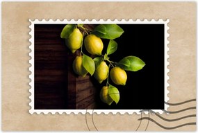 Poszterek 120x80 Természetes citrom Citrus