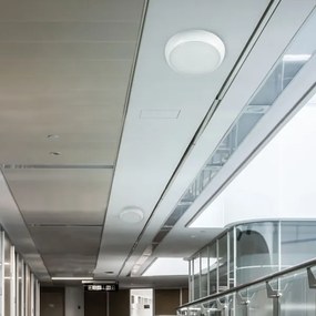 LED Kültéri mennyezeti lámpa LED/20W/230V IP65 3000/4000/6500K