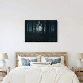 Kép - Páfrányok a holdfényben (90x60 cm)