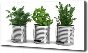 Vászonkép Aromás növények 100x70cm