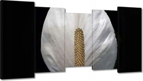 Vászonkép 150x80 Virágok