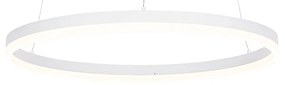 Design lógólámpa fehér 60 cm LED-del, 3 fokozatú fényerő-szabályozóval - Anello