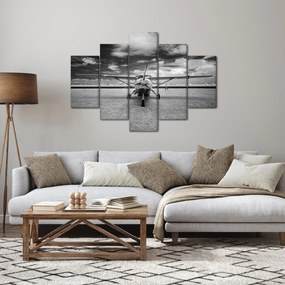 Kép - Repülőgép fekete-fehér (150x105 cm)