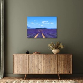 Kép - Levendula mező (70x50 cm)