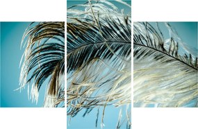 Tollas kép (90x60 cm)