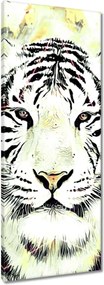 Vászonkép 40x100 Tigrisfej Csillagok
