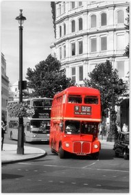 Poszterek 80x120 Piros busz