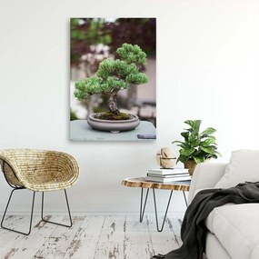 Gario Vászonkép Bonsai fa köveken Méret: 40 x 60 cm