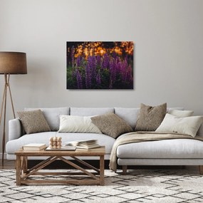 Egy csillagfürt virág képe (üvegen) (70x50 cm)